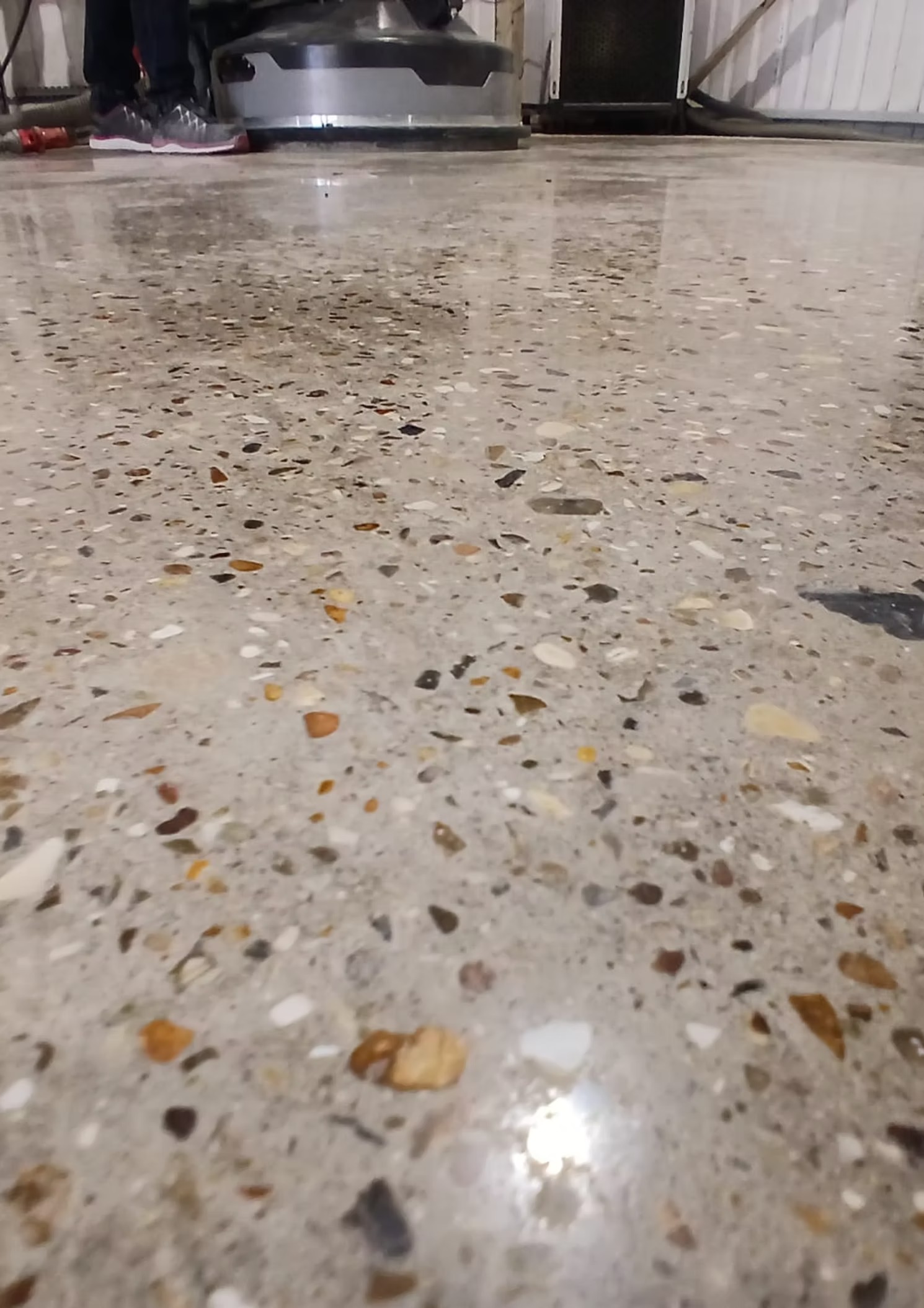 Close view of a polished concrete floor with exposed aggregate